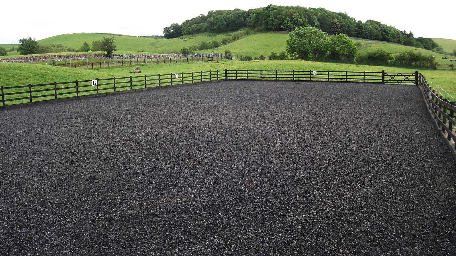 Eco Pet rubber chippings horse riding arena