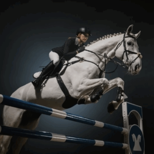 Eco Chippings are a popular choice for equestrian spaces such as paddocks, walkways, and turnout areas thanks to their durability, drainage, and low-maintenance qualities. With a little care, you can keep them looking fresh and performing well for years.